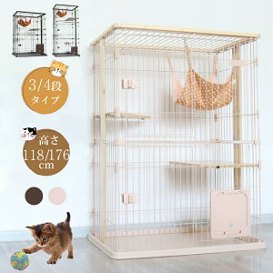 LP[W LbgP[W 3i/4i y y ی ybgpi Eh~  LQ[W LbgQ[W hAt g 傫ߔLp ^ pLP[Wp i lR Lp