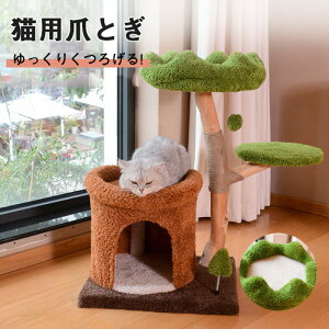 Lbg^[ ^ u^ L^[ ~j  LnEX ܂Ƃ|[  NbV O\  S  VjA qL eL Lp ȃXy[X RpNg ˂ ₷ 