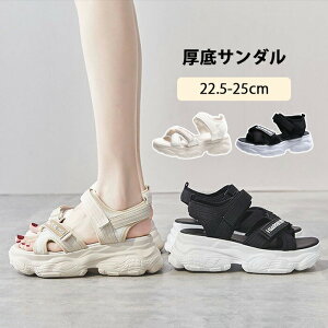 T_  T_ fB[X q[ r[`T_ T_  y RtH[g ₷ T_ 傫TCY 22.5cm`25cm C C }WbNe[v T_ 