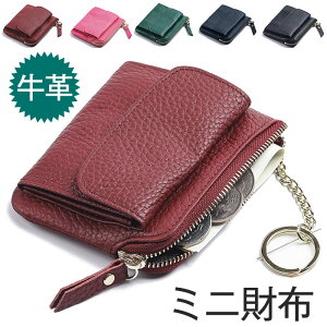 ~jz fB[X v tOgP[X z RpNg pXP[X  K IC ID J[h X D L[z_[t ۊǂ  y RCP[