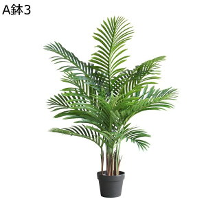 AJV tFCNO[ ^Ηt A CeAO[ lHϗtA { ϗtA lHA ϗt bsv ͂ȂO[ /O z[K[f