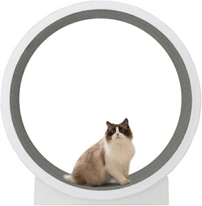キャットホイール」の人気商品一覧・価格比較 - 価格.com