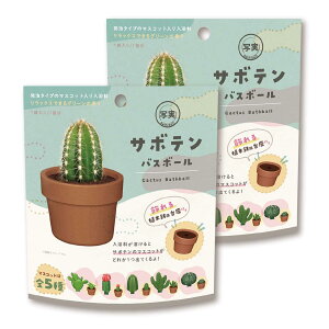 ������ �o�X�{�[�� �T�{�e�� 2�Z�b�g �}�X�R�b�g���� �����C �������� �o�X�{�� �q�� �N���X�}�X�v���[���g