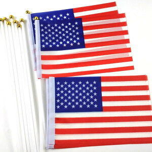 [F NODE] �A�����J���� �~�j�t���b�O 10�_�Z�b�g 8���i��21cm×14cm�j �_�t�� USA ������ �č��� �� �C�M���X ���j ���̐� �R�� �� �F ���� �c ���� �A�����J �� ��� �č� �f�U�C�� 51 ���� �X�|�[�c U