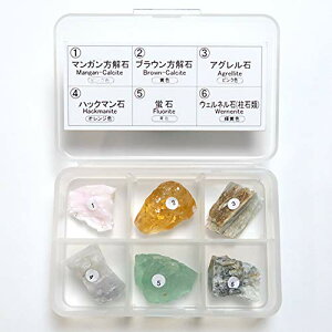 SCIENCE �u���z���W�{6�� ���g �iL.W.�^Longwave, Long Wave�j���傤�� �u������z�� 6��Z�b�g�i�ʎ��������t���j �^�v���X�`�b�N�P�[�X����