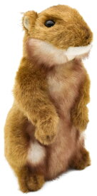 BH3683 HANSA プレーリードッグ18