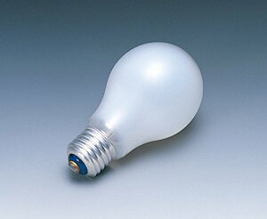 LW110V100WN ���� ���M�d�� �z���C�g 110V E26 100W�`