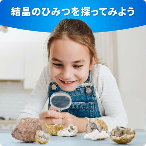�i�V���i���W�I�O���t�B�b�N ���~�A���W�I�[�h10�Z�b�g ���S�S�[�O�����f�B�X�v���C�X�^���h�t�� ������������I STEM�Ȋw�L�b�g �n���w�M�t�g �q�ǂ�������������̌��L�b�g �j�̎q��
