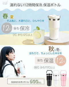 Aliliy�^���u���[ �X�g���[�t���ۗ�ۉ� 600ml ���� 316�X�e�����X �R��Ȃ��{�g�� �����t ��e�� �Y�_����ok �W�t��