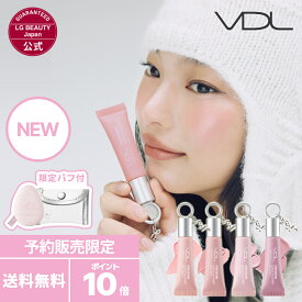 ＼予約販売 ～12/19 16:59／★新発売★【VDL公式】 VDL チークステイン リキッド ブラッシャー メイクアップ 韓国コスメ チーク ブイディーエル
