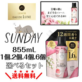 レノア オードリュクス 香り付け専用ビーズ マインドフルネスシリーズ サンデー 詰め替え 855mL大容量 消臭 レノア柔軟剤詰め替え 抗菌 防臭 部屋干し 香り長持ち 高級感 アロマ 癒し 柔軟剤 ビーズ 洗濯 香水調 衣類用 ギフト プレゼント