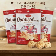 SSB オートミールミニバイト 40g 3個セットオートミール お菓子 スナック ギルトフリー ヘルシー ひとく…