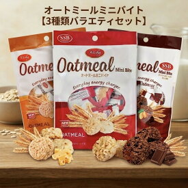 【3種類バラエティセット】 リッチー Richy オートミールミニバイトSSB 個包装 お菓子 ヘルシー ダイエット 空腹 おやつ 間食 個包装のお菓子 食物繊維 鉄分 栄養補給 一口 健康おやつ オートミールバイト 体にいいお菓子 美味しい 低カロリー まとめ買い 詰め合わせ