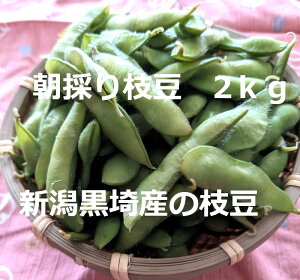VY̎Yn}2kg@̂œN[ւŔ@{̎}͖Ⴂ܂@@Mtg@@܂߁@yY@钃@Ai@낳@@薺@ȕP