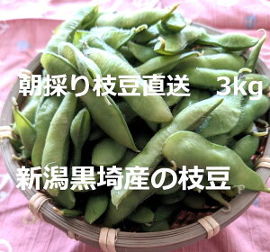 yzVỸuh}3kg@̂œN[ւŔ@Yn@{̎}Ai@@Mtg@@܂߁@yY@钃@Ai@낳@@