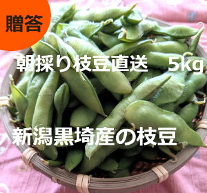 yzVỸuh}5kg@Yn̂œN[ւŔ@{̎}Ai@@Mtg@@܂߁@yY@钃@Ai@낳@@