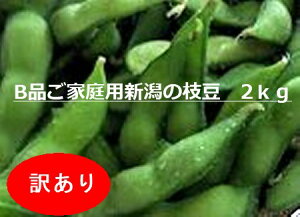yPAi@izVỸuh}2kg@̕s낢Eό`E肪Ȃǂ̗Rőp̑IʌɔiN[ւŔ@ڂ̓C}C`ł{̎}͖