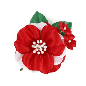 Ǝ w RT[W   \ T  i 󒍐Y 20育\ c̗lp ySEE{z01