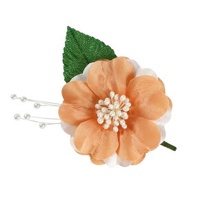 Ǝ w RT[W   \ T  i 󒍐Y 20育\ c̐p ySEE{z03