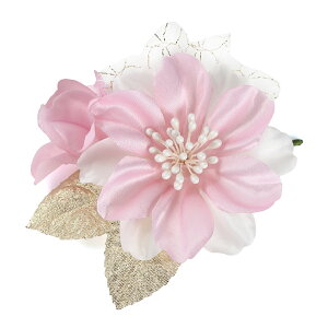 Ǝ w RT[W   \ T  i 󒍐Y 20育\ c̐p ySEE{z5