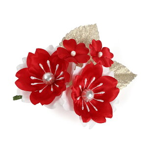 Ǝ w RT[W   \ T  i 󒍐Y 20育\ c̐p ySEE{z07