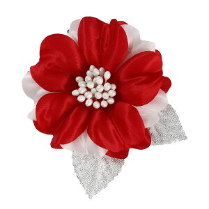 Ǝ w RT[W   \ T  i 󒍐Y 20育\ c̗lp ySEE{z08