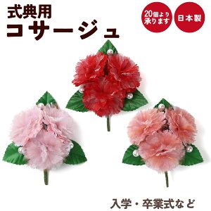 Ǝ w RT[W   \ T  i 󒍐Y 20育\ c̐p ySEE{z33