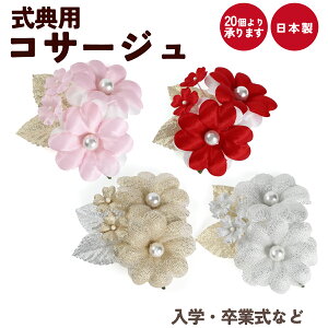 Ǝ w RT[W   \ T  i 󒍐Y 20育\ c̐p ySEE{z06