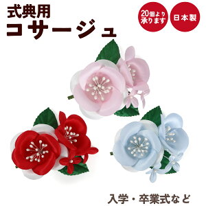 Ǝ w RT[W   \ T  i 󒍐Y 20育\ c̗lp ySEE{z09