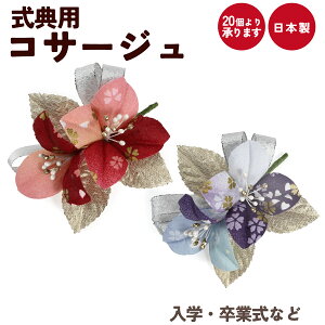 Ǝ w RT[W   \ T  i 󒍐Y 20育\ c̐p ySEE{z12