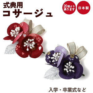 Ǝ w RT[W   \ T  i 󒍐Y 20育\ c̐p ySEE{z20