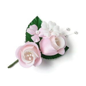 Ǝ w RT[W   \ T  i 󒍐Y 20育\ c̐p ySEE{z21