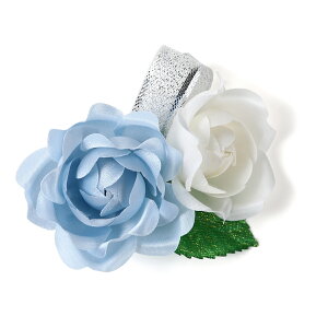 Ǝ w RT[W   \ T  i 󒍐Y 20育\ c̐p ySEE{z32