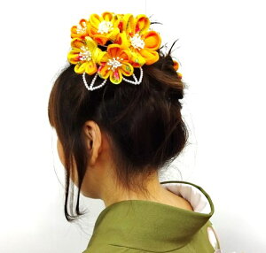 ܂ݍ׍H@@񂴂@l@߁@F@3_Zbg@yJȍESE̓{z@002