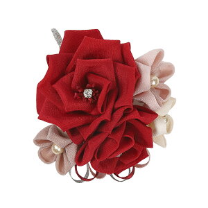 ܂ݍ׍H   Mtg  ܎O l obO RT[W w Ǝ ̓ a v[g nhCh 027yJȍESE̓{z