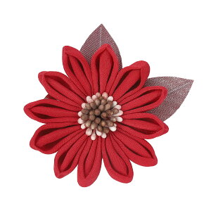 ܂ݍ׍H   Mtg  ܎O l obO RT[W w Ǝ ̓ a v[g nhCh 029yJȍESE̓{z