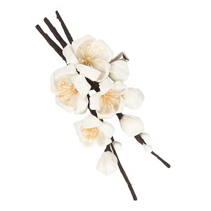 ܂ݍ׍H   Mtg  ܎O l obO RT[W w Ǝ ̓ a v[g nhCh 035yJȍESE̓{z