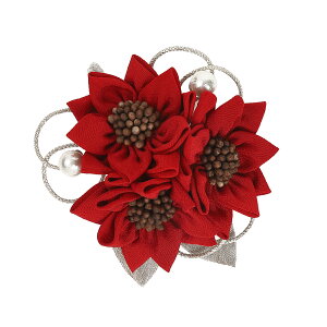 ܂ݍ׍H   Mtg  ܎O l obO RT[W w Ǝ ̓ a v[g nhCh 037yJȍESE̓{z