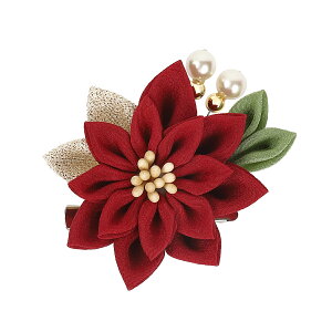 ܂ݍ׍H   Mtg  ܎O l obO RT[W w Ǝ ̓ a v[g nhCh 046yJȍESE̓{z