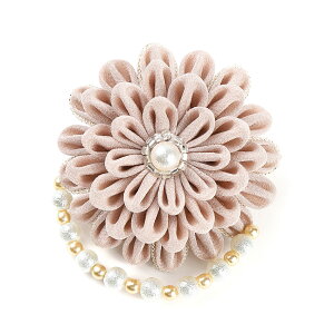 ܂ݍ׍H  RT[W u[`  Mtg  ܎O l w Ǝ ̓ a v[g nhCh 063yJȍESE̓{z