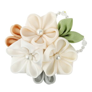 ܂ݍ׍H   Mtg  ܎O l obO RT[W w Ǝ ̓ a v[g nhCh 005 yJȍESE̓{z