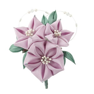 ܂ݍ׍H   Mtg  ܎O l obO RT[W w Ǝ ̓ a v[g 009yJȍESE̓{z