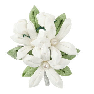 ܂ݍ׍H   Mtg  ܎O l obO RT[W w Ǝ ̓ a v[g 010yJȍESE̓{z