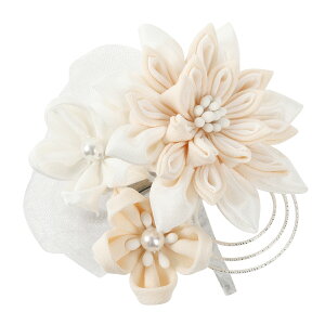 ܂ݍ׍H   Mtg  ܎O l obO RT[W w Ǝ ̓ a v[g nhCh 012yJȍESE̓{z