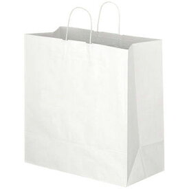 手提げ紙袋（白L）マチ広タイプ　【単品購入不可】ギフト用手提げ袋