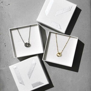  yr[Tz LHME X_uOyAlbNX | T[WJXeX316L Vo[ S[h AM[Ή Y lbNX T[WJXeX KтȂ X