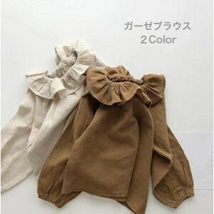 y11/4 20`4Ԍ Si10OFFN[|z@ K[[uEX xr[ Ԃ LbY q qǂ gbvX  Vc ̎q o K[[  ؍q R[fBl[g  