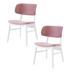 y}\Ԓ2000~OFFN[|&|Cg10{ 11/8-11/10z _CjO`FA 2rZbg i ֎q CX ؐ IȂ O[ ݃sN O[ zCg ubN    _