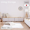 【ポイント5倍 8/4 20:00-8/11 01:59楽天マラソン】 ベンチ収納 90cm 120cm 国産 完成品 ダイニングベンチ リビング …