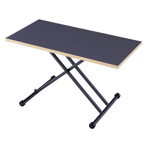 y|Cg5{!_tf[12/1z ~e[u 120cm KX LX^[t iK | ~_CjOe[u Z^[e[u fXN 蓮 O[W x[W uE 